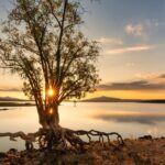 Atardecer y puesta de sol en un lago, con un árbol en primer plano. Una imagen dónde están representados los cinco elementos de la metafísica china: madera, fuego, tierra, metal y agua.