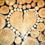 troncos de madera apilados. El tronco central tiene forma de corazón y esta bordeado por otros troncos pequeños para dar énfasis a este corazón. La madera es un material noble y natural para una casa sana.