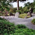Jardín Zen Japonés. Ambiente relajante y equilibrado.