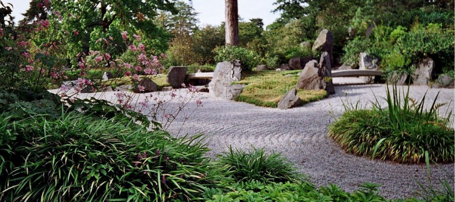 6 pasos para convertir tu jardín en un Jardín Zen