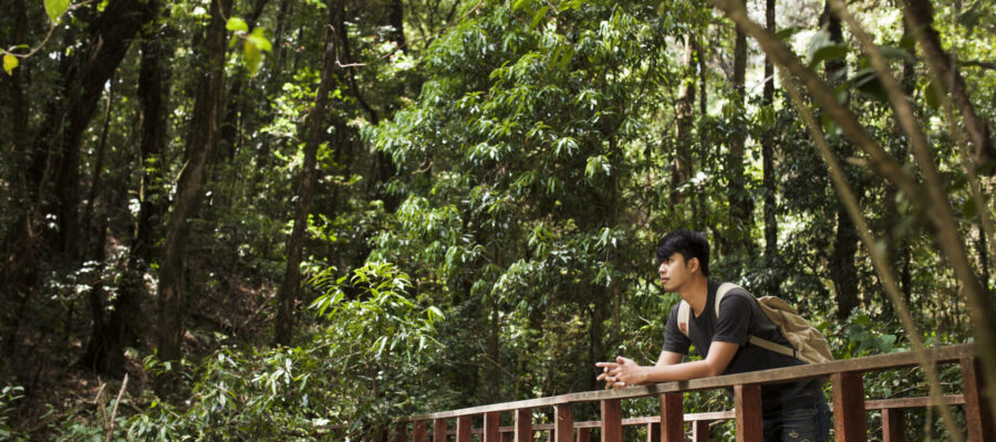 Joven japonés disfrutando de un paseo por el bosque. Está practicando el shirin yoku (baños de bosque).